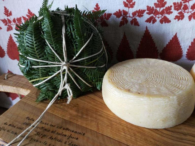 formaggio-caprino-stagionato-fieno