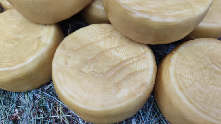 caprino-stagionato-in-cera-dapi