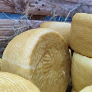 pecorino-stagionatp-in-cera-dapi-1