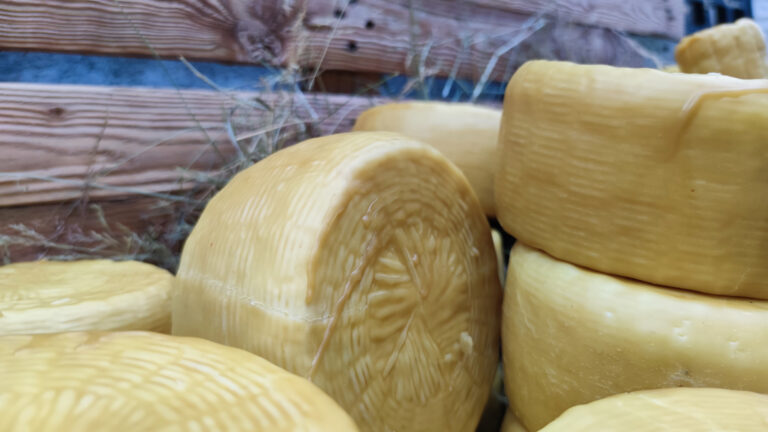 pecorino-stagionatp-in-cera-dapi-1