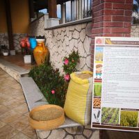fattoria1